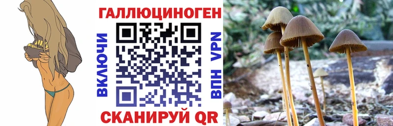 Галлюциногенные грибы MAGIC MUSHROOMS  Чкаловск 